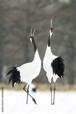  The Dancing Crane! A Folktale Exploring Love, Loss, and Redemption Across Generations